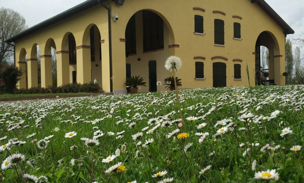 Photo of Buildings in Tessera