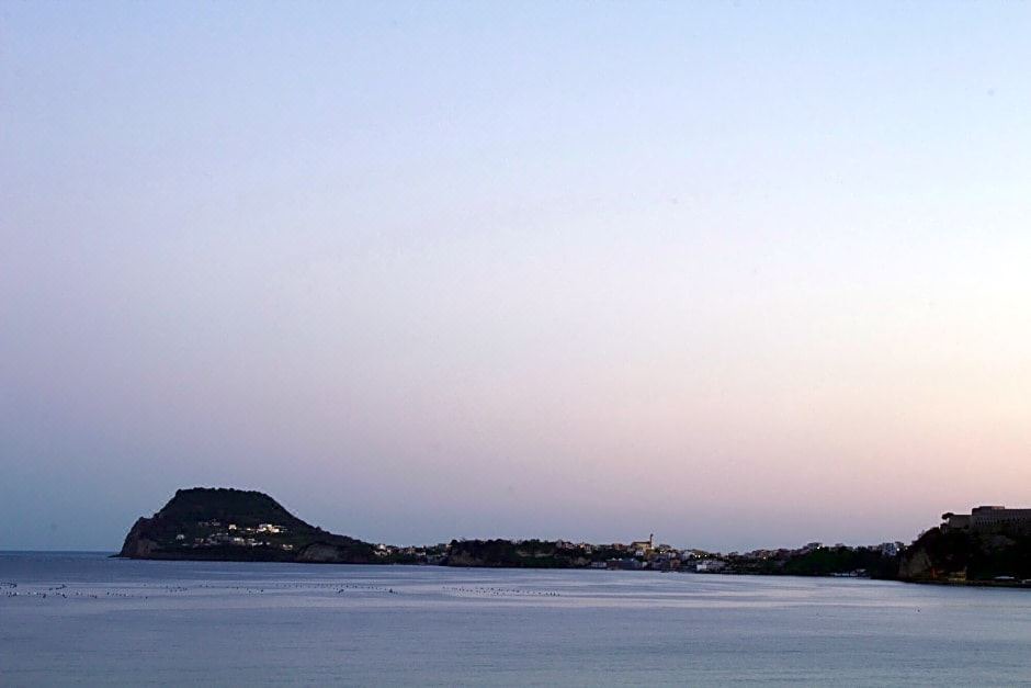 Photo of Outdoor in Licola