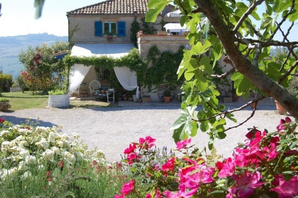 Photo of Buildings in Monterubbiano