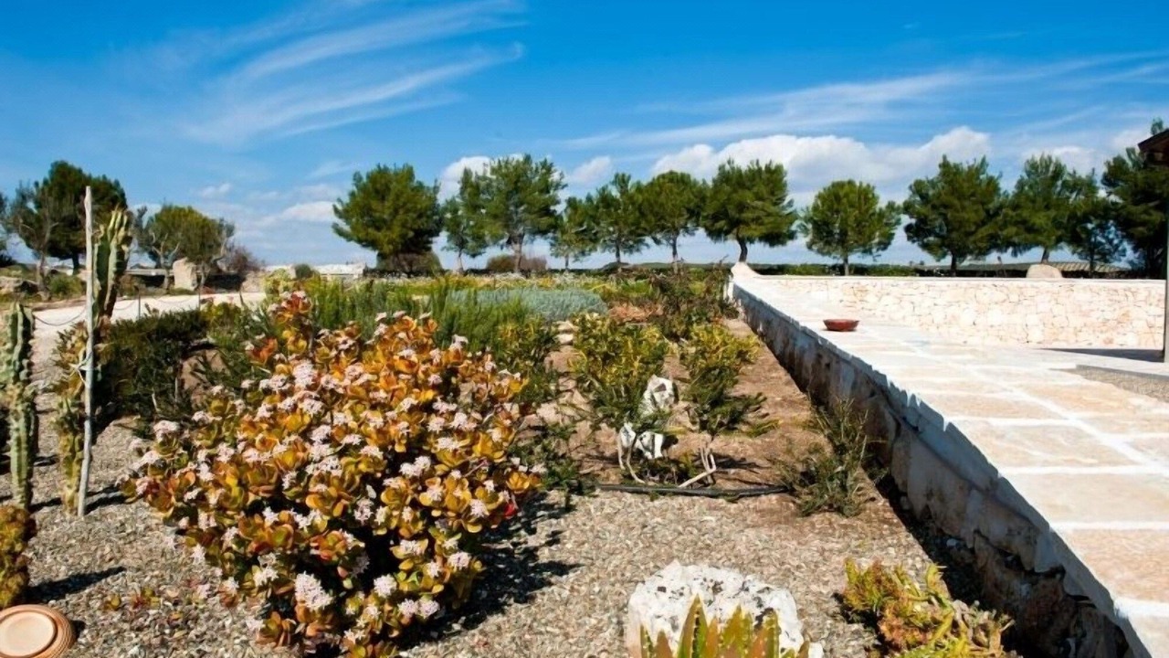 Photo of Others in Palagianello