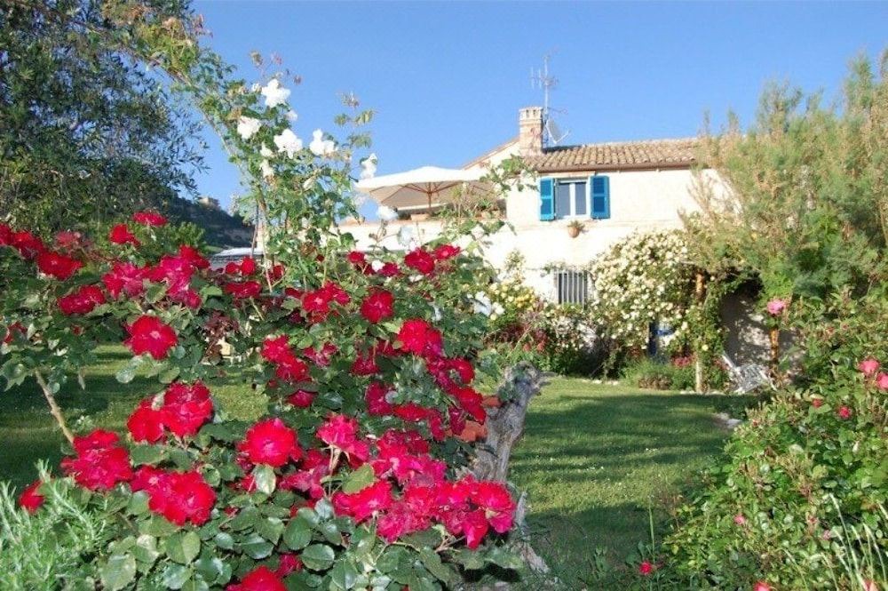 Photo of Others in Monterubbiano