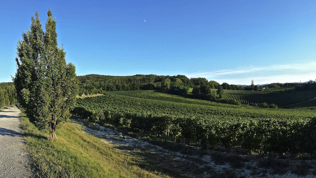 Photo of Outdoor in Gavi