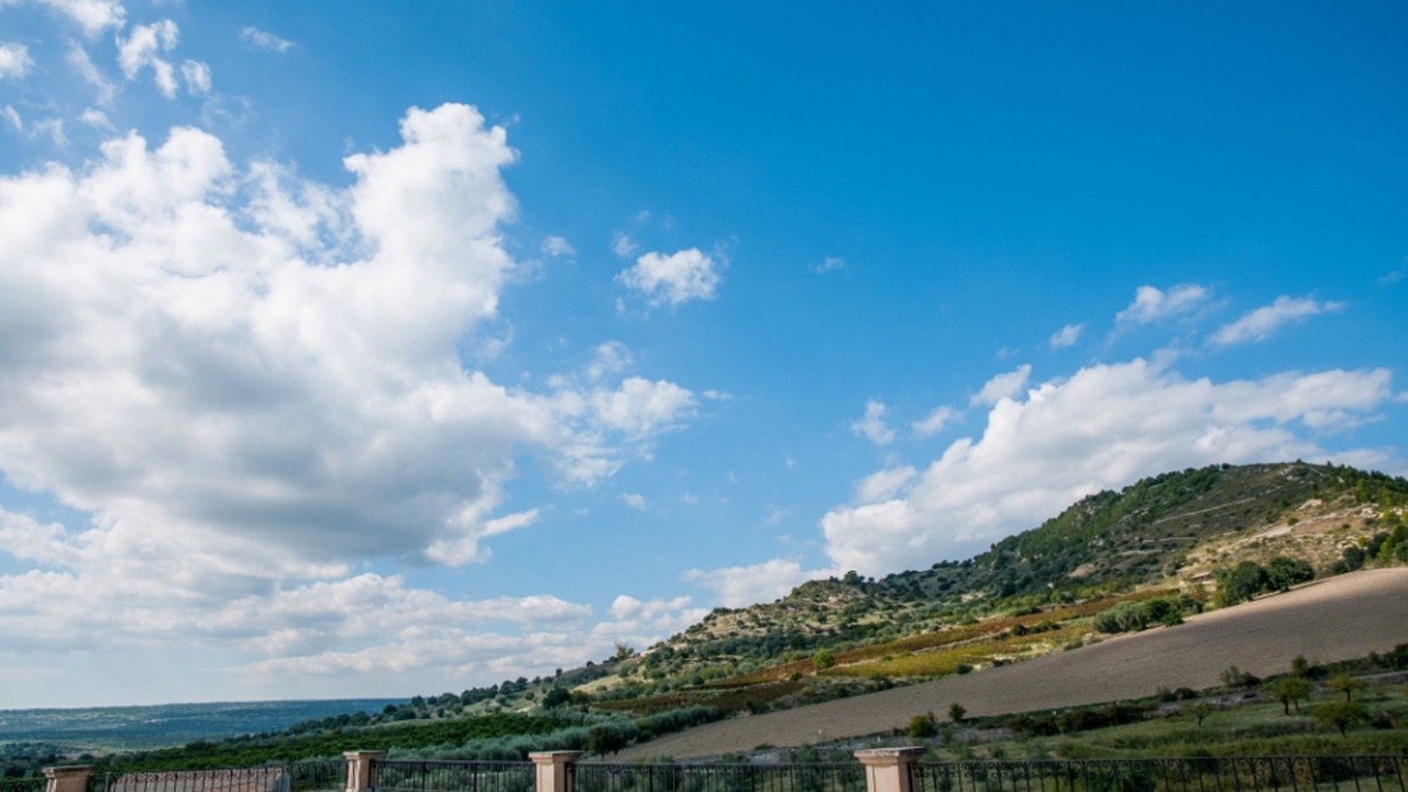 Photo of Others in Fattoria di Torresena