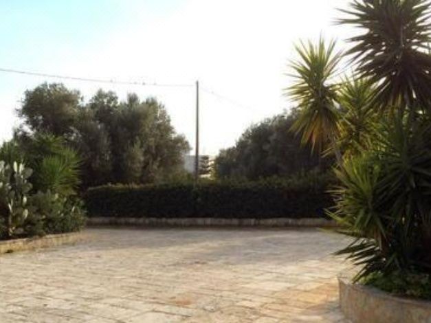 Photo of Outdoor in Carovigno