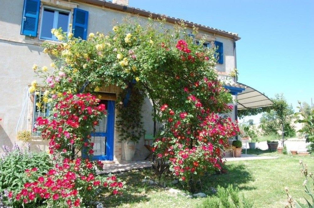Photo of Buildings in Monterubbiano