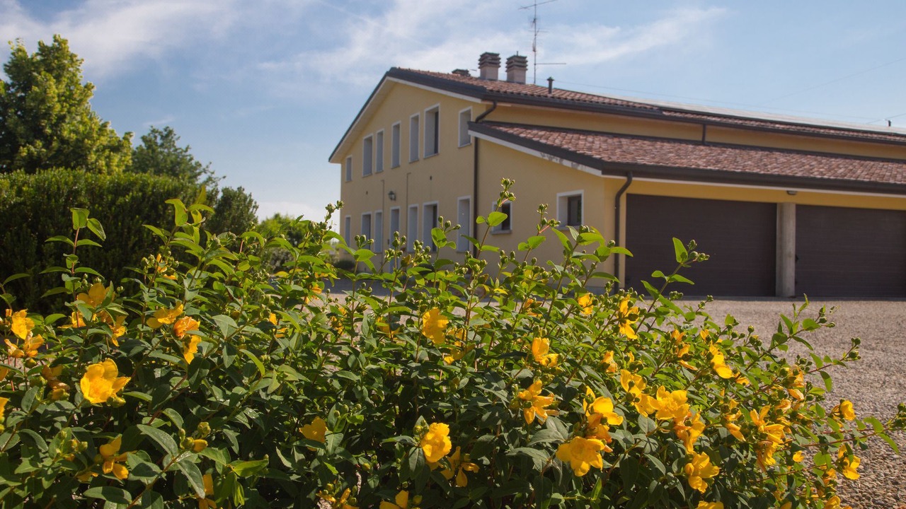 Photo of Buildings in Scandiano