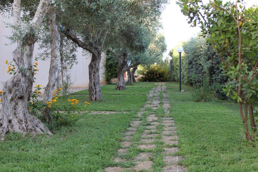 Photo of Others in Marsala