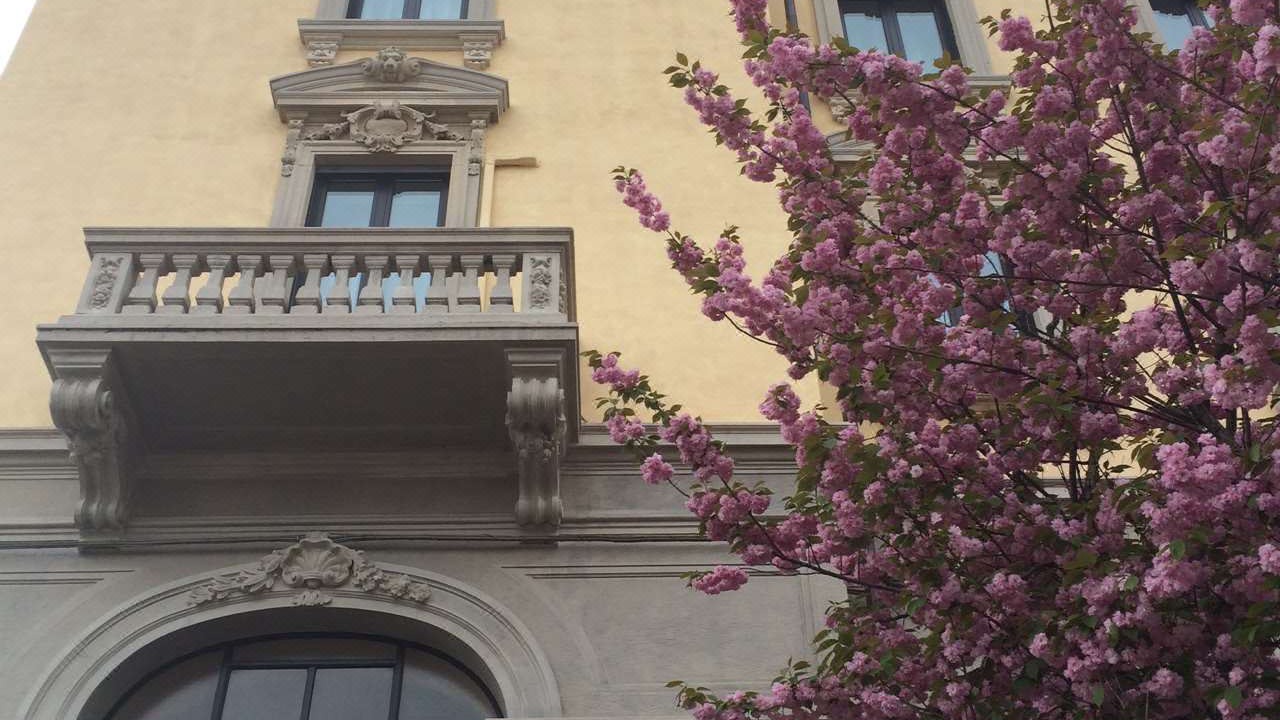 Photo of Buildings in Gallarate