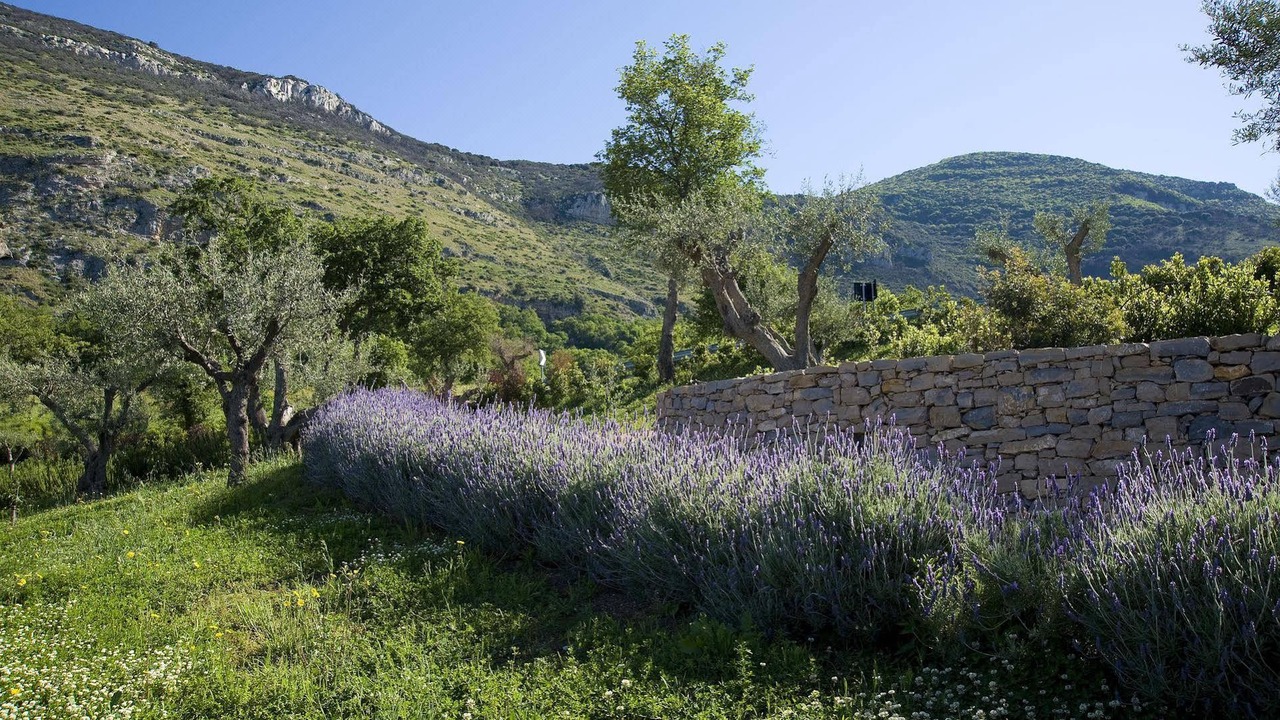 Photo of Outdoor in Capaccio-Paestum