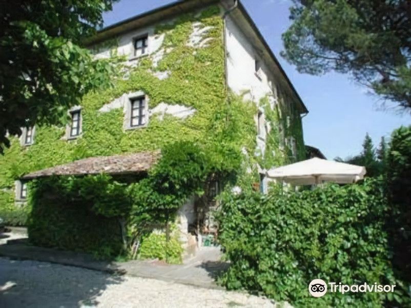 Photo of Buildings in Sansepolcro