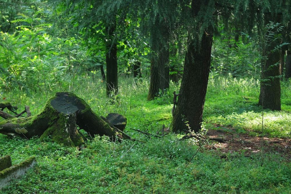 Photo of Others in Vaprio d'Adda