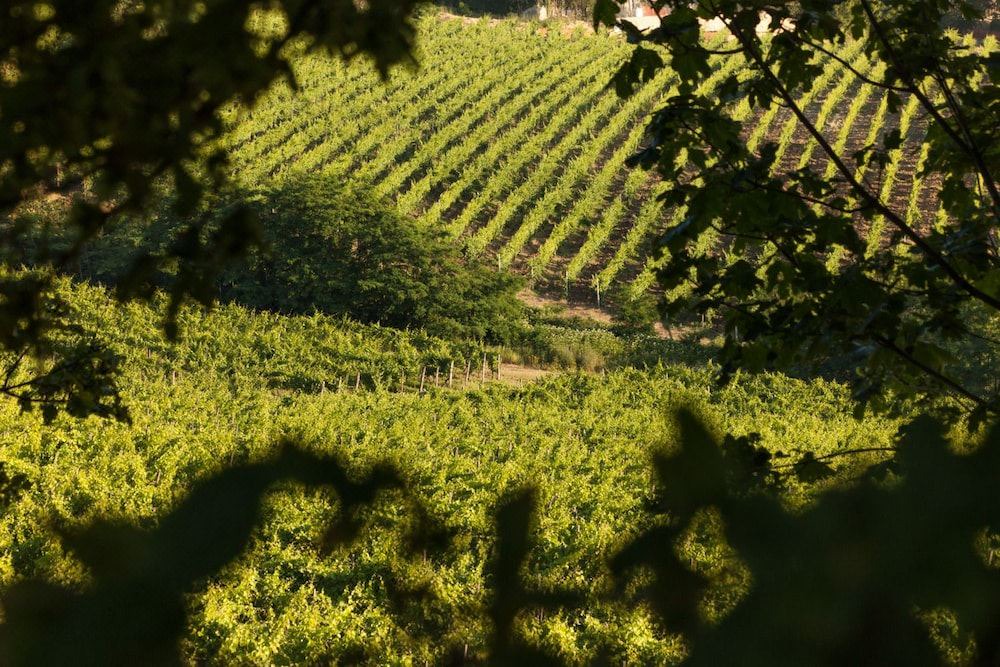 Photo of Outdoor in Gavi