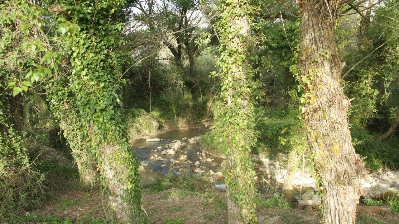 Photo of Outdoor in Corleone