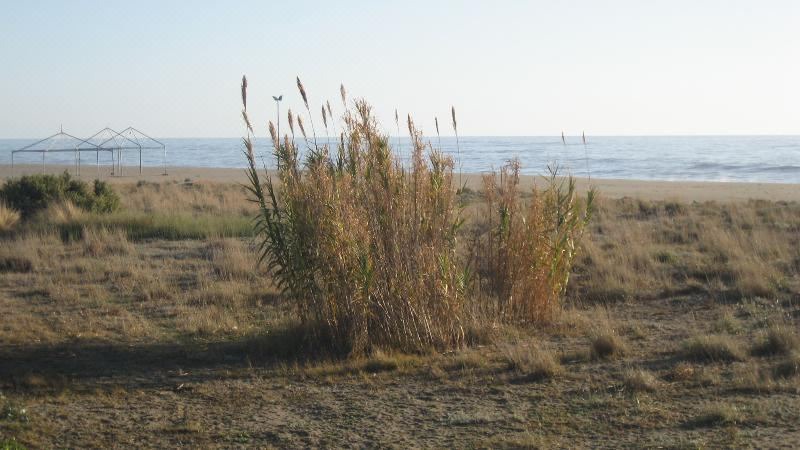 Photo of Outdoor in Lido