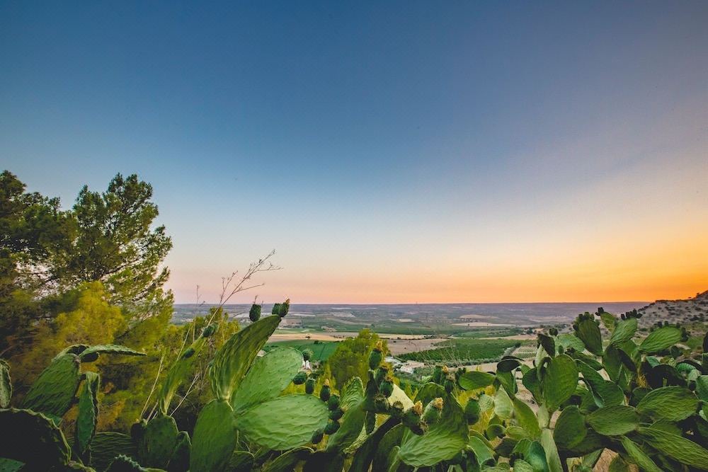 Photo of Outdoor in Fattoria di Torresena