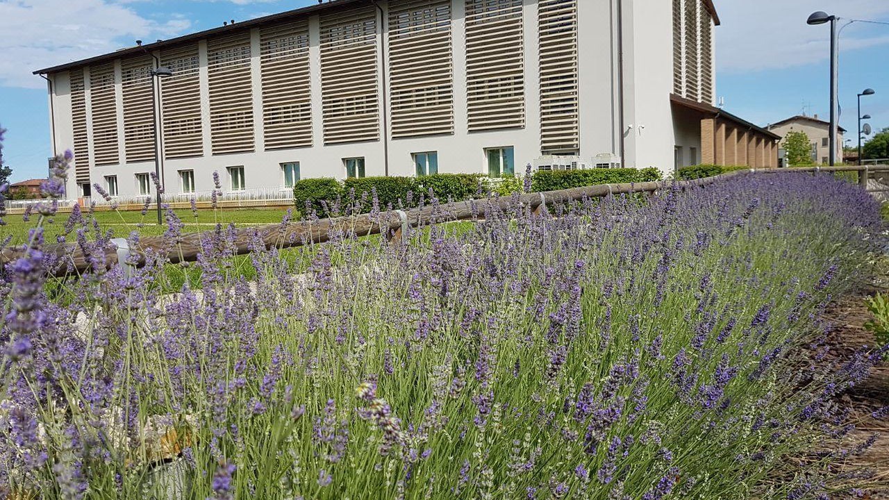 Photo of Buildings in Scandiano