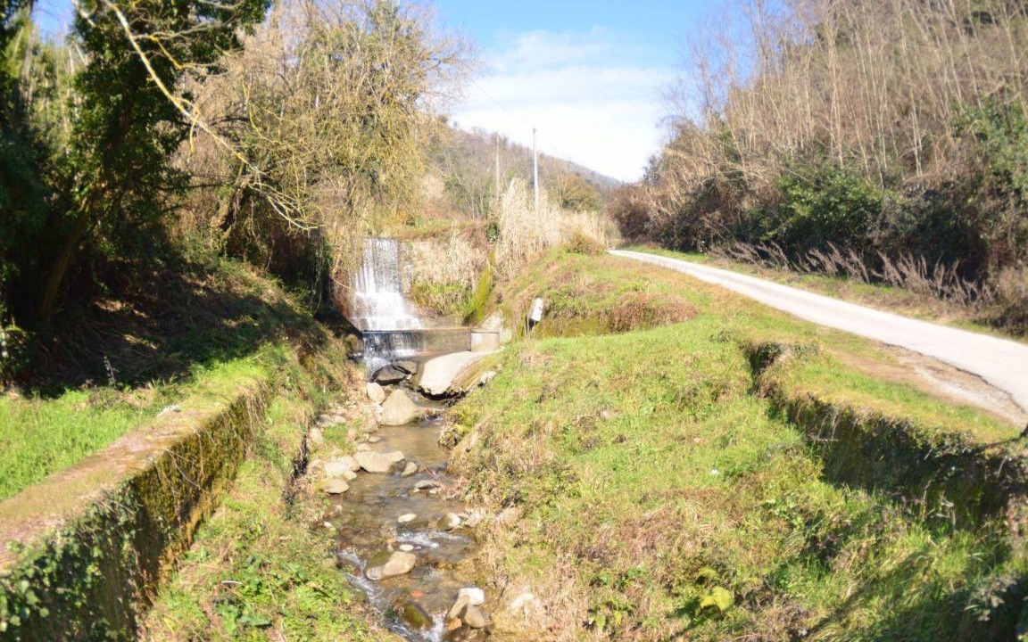 Photo of Others in Massa e Cozzile