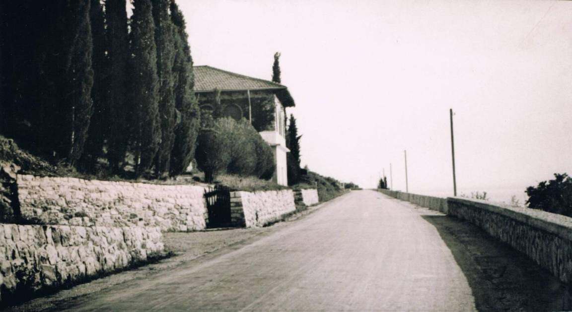 Photo of Others in Torri del Benaco