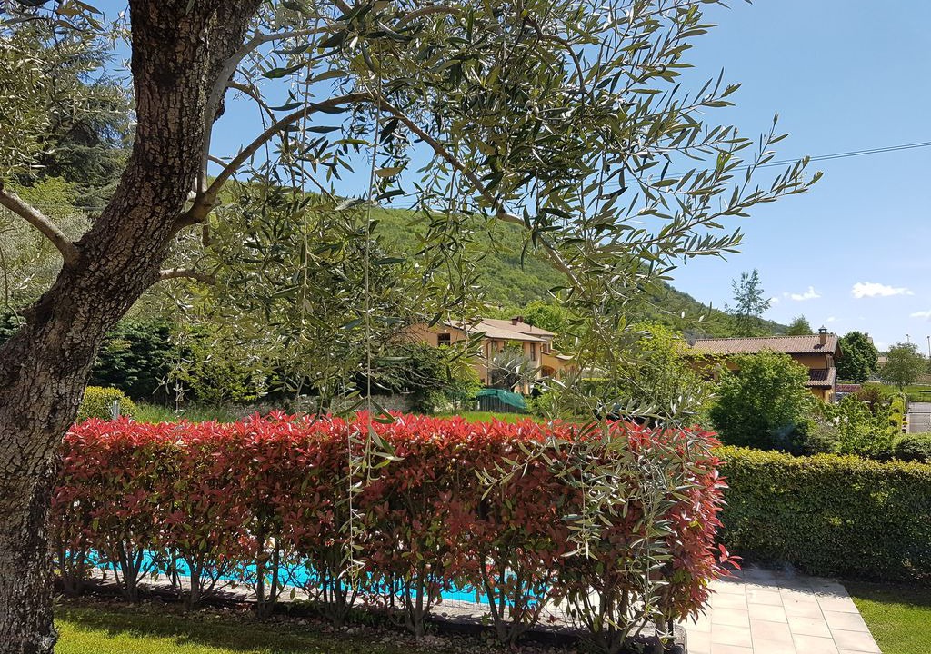 Photo of Others in Albisano