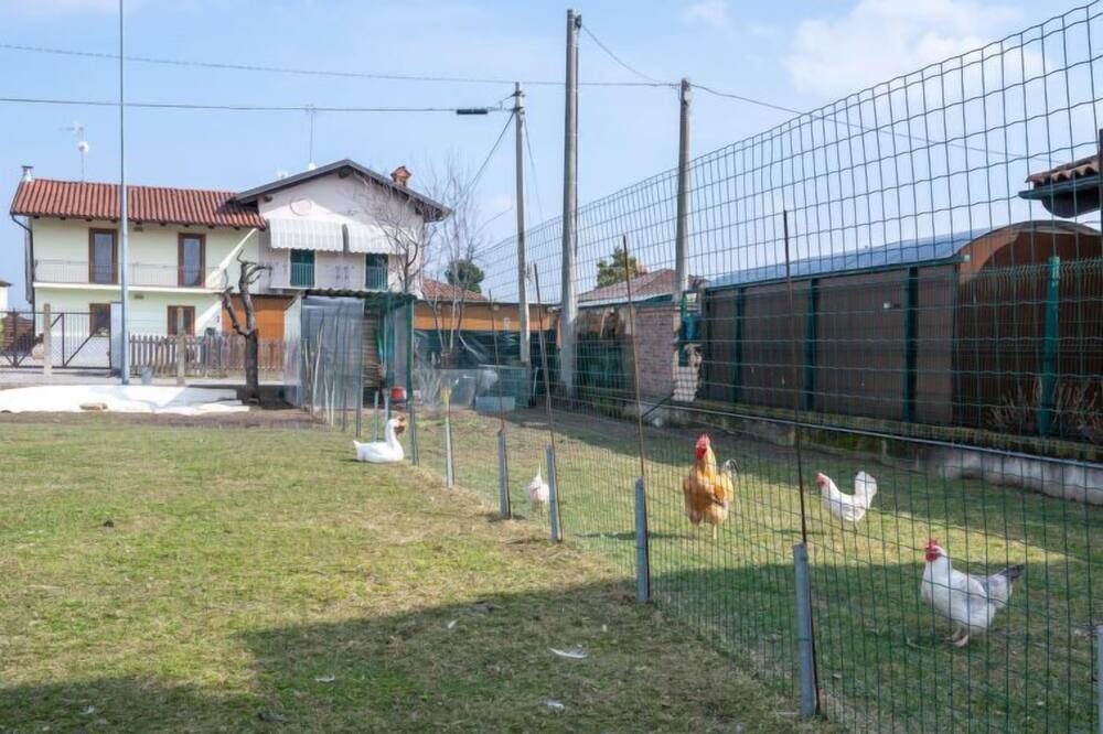 Photo of Others in Trinita