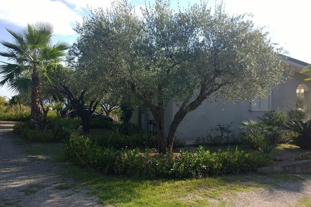 Photo of Outdoor in Ricadi