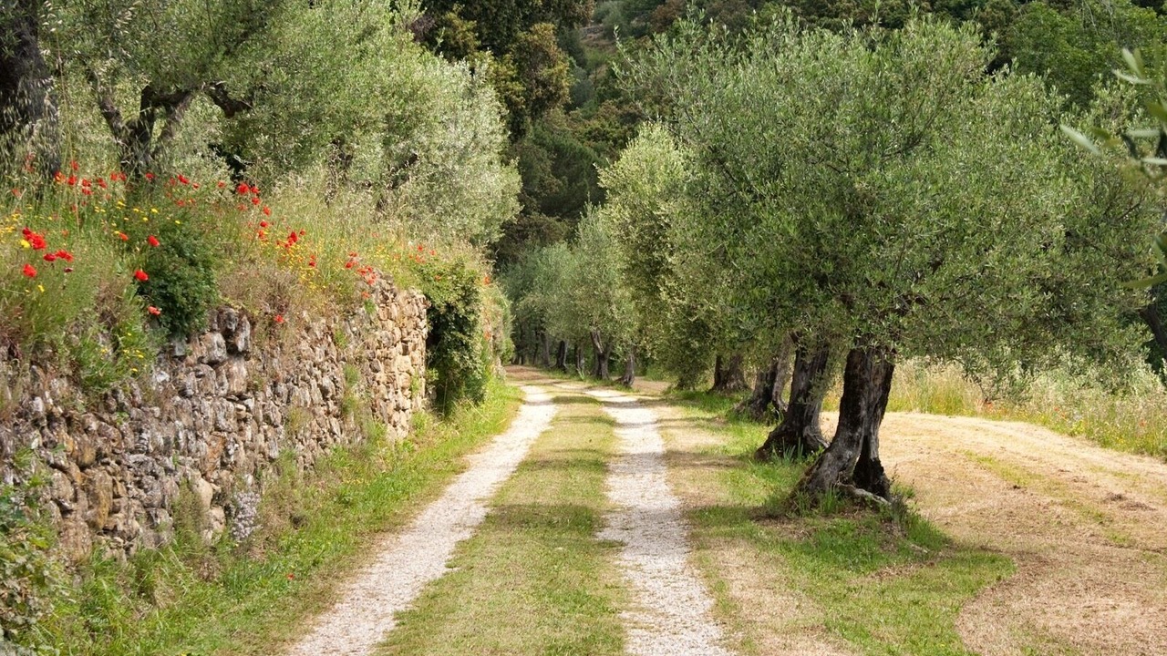 Photo of Outdoor in Cortona