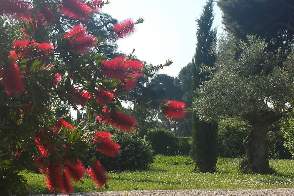 Photo of Outdoor in Rome Province