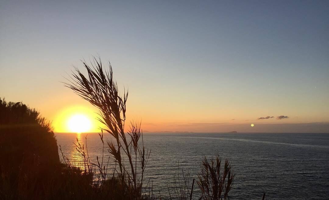 Photo of Others in Ventotene