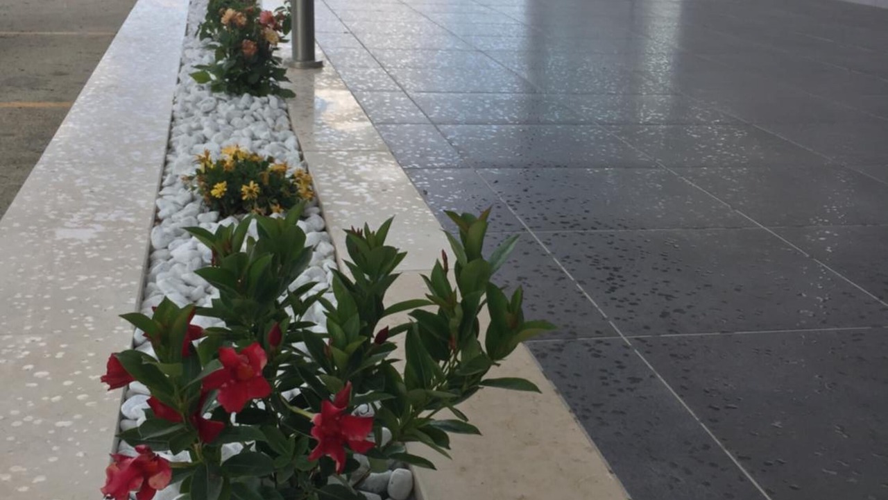 Photo of Outdoor in Cerignola