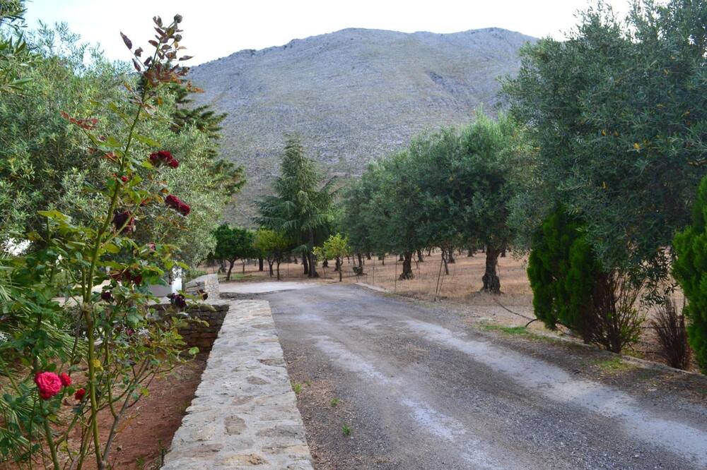 Photo of Outdoor in Castelluzzo
