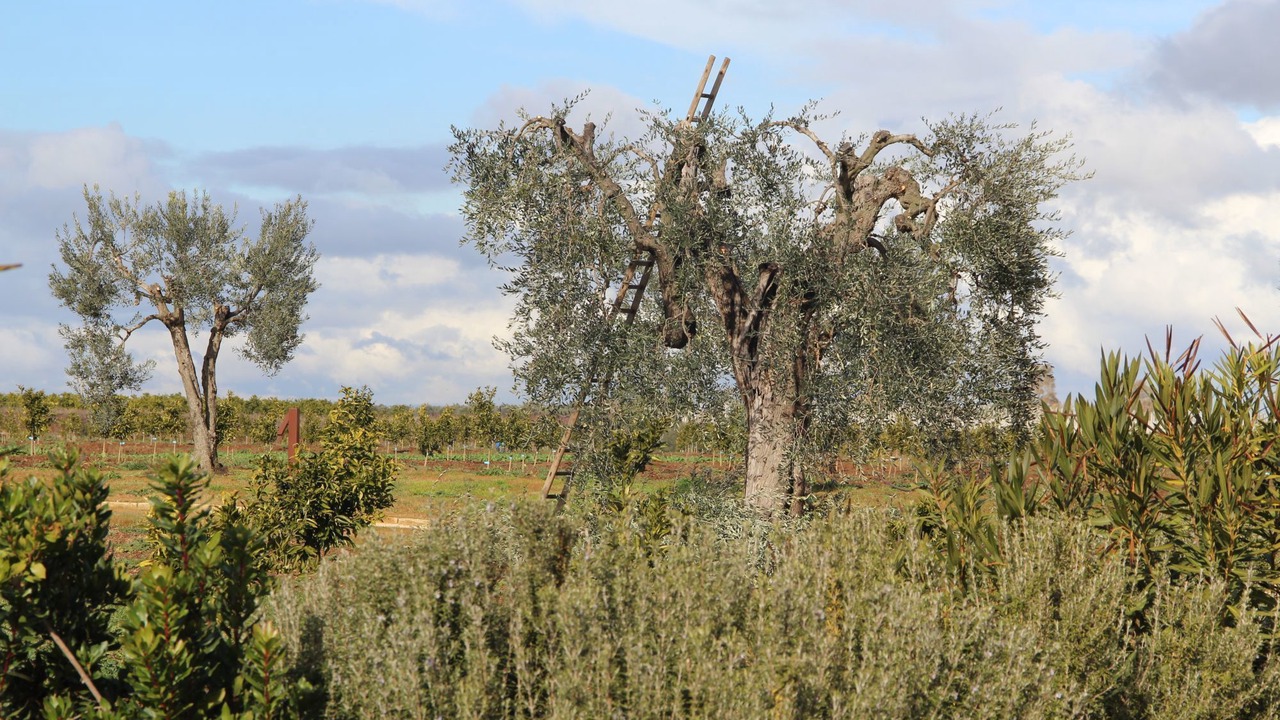 Photo of Outdoor in Pisticci