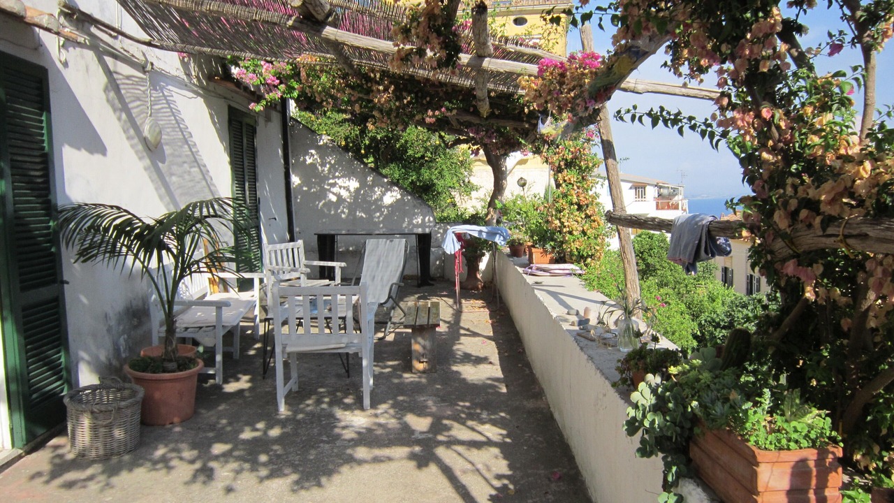 Photo of Outdoor in Raito