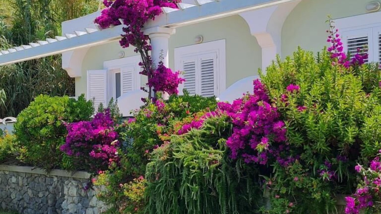 Photo of Patio Balcony in Forio