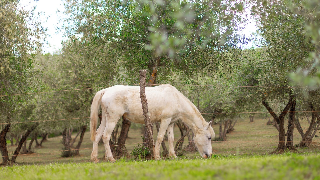 Photo of Outdoor in Greve in Chianti