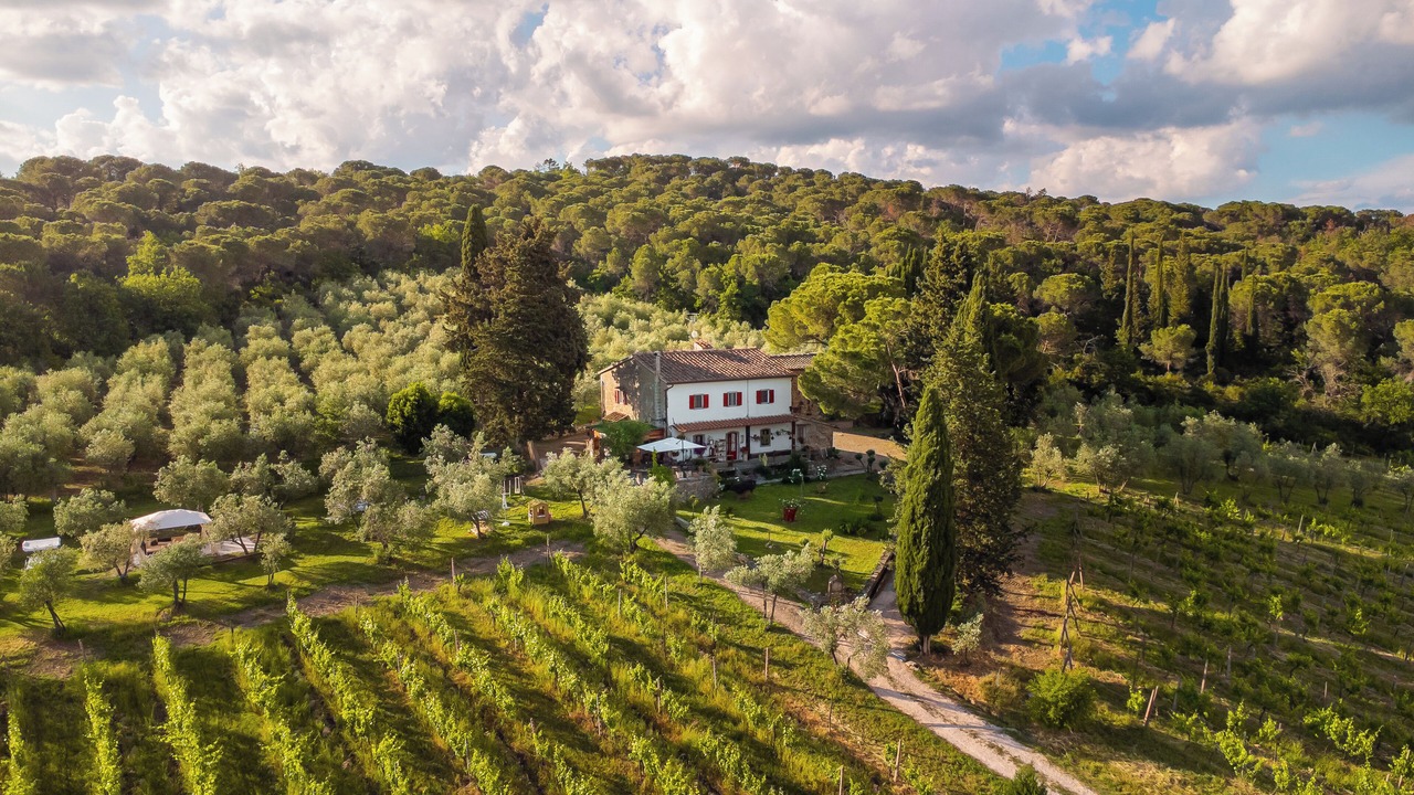 Photo of Outdoor in Greve in Chianti