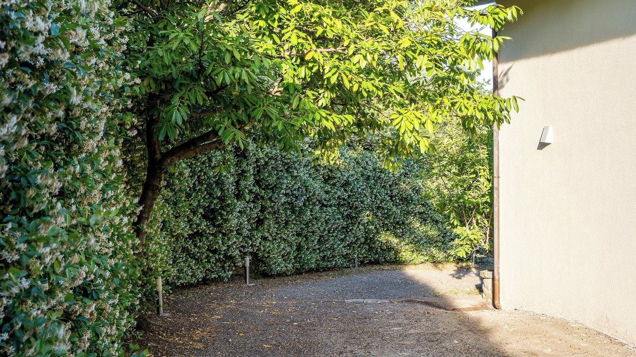 Photo of Outdoor in Canepina