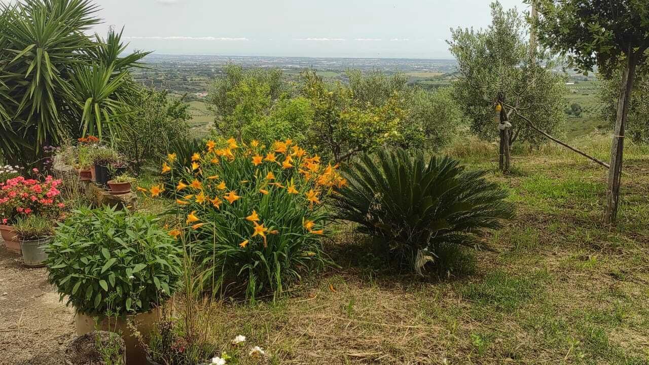 Photo of Outdoor in Nova Siri