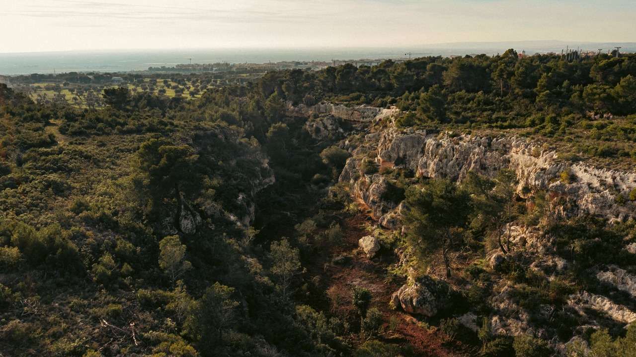 Photo of Outdoor in Massafra