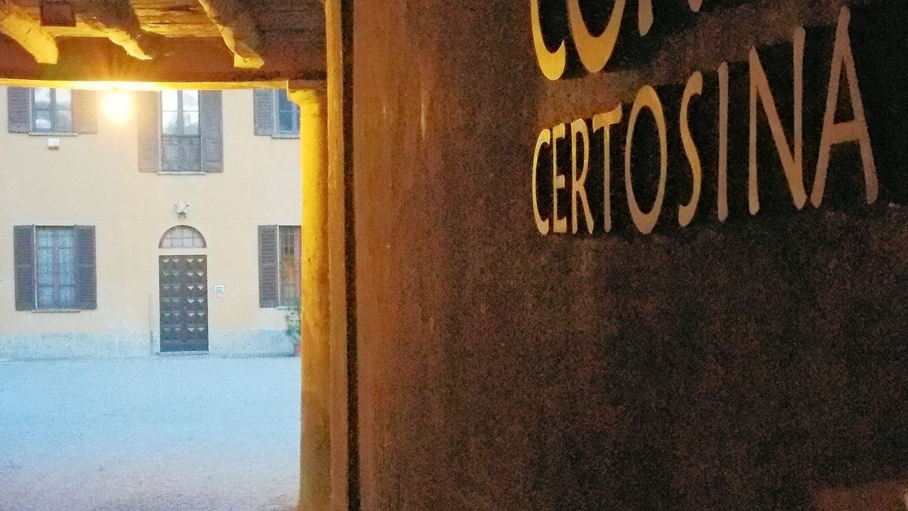 Photo of Others in Trezzano sul Naviglio