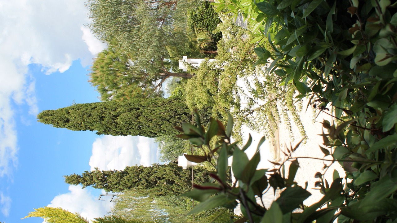 Photo of Outdoor in Lucera