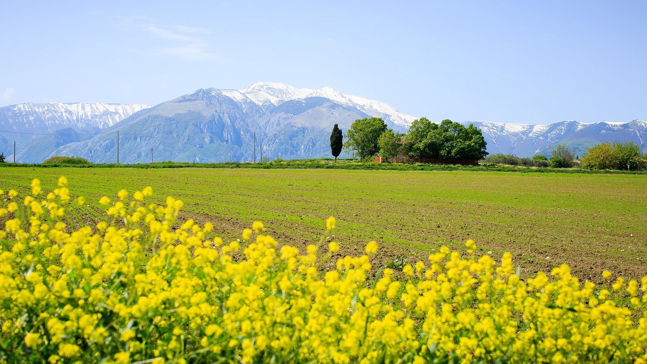Photo of Outdoor in Mozzagrogna