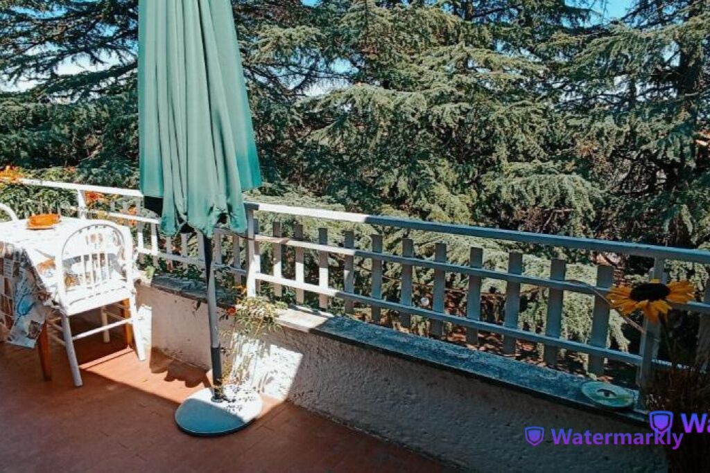 Photo of Outdoor in Padua