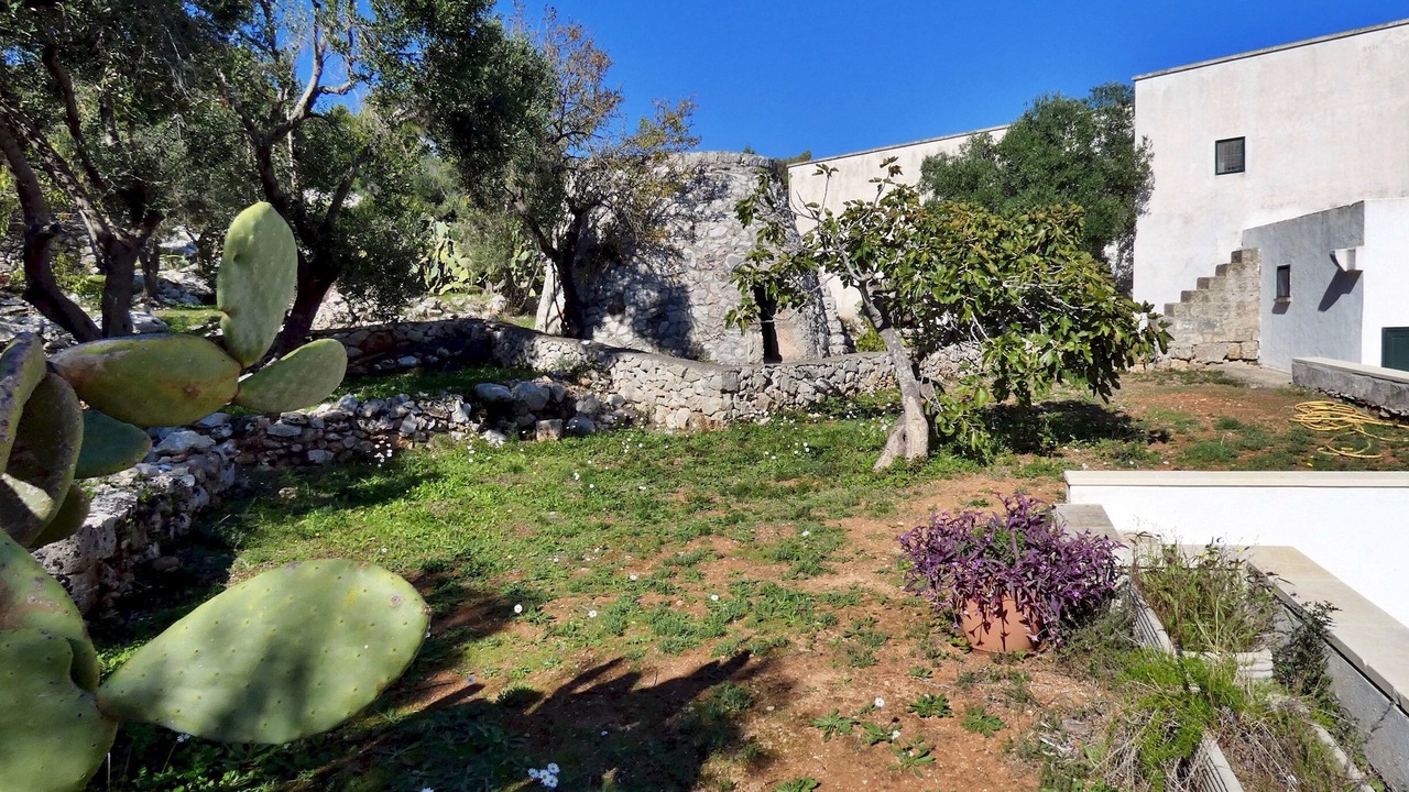 Photo of Outdoor in Marina di Novaglie