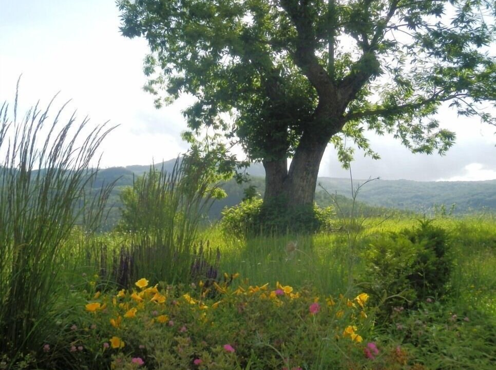 Photo of Outdoor in Santa Fiora