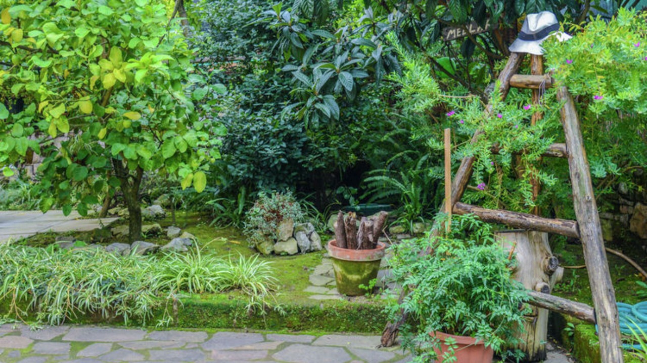 Photo of Outdoor in Sorrento