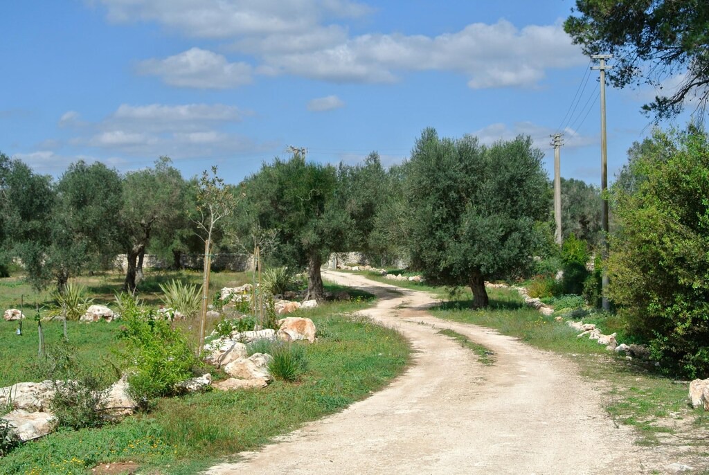 Photo of Others in Martano