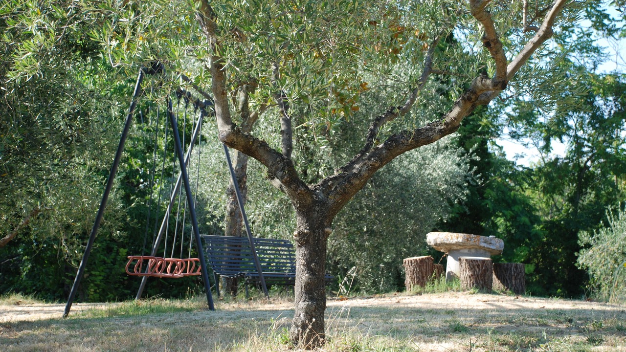 Photo of Outdoor in Poggiolo