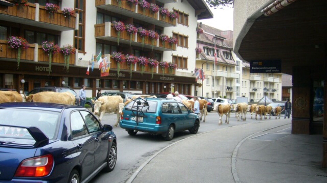 Photo of Outdoor in Adelboden