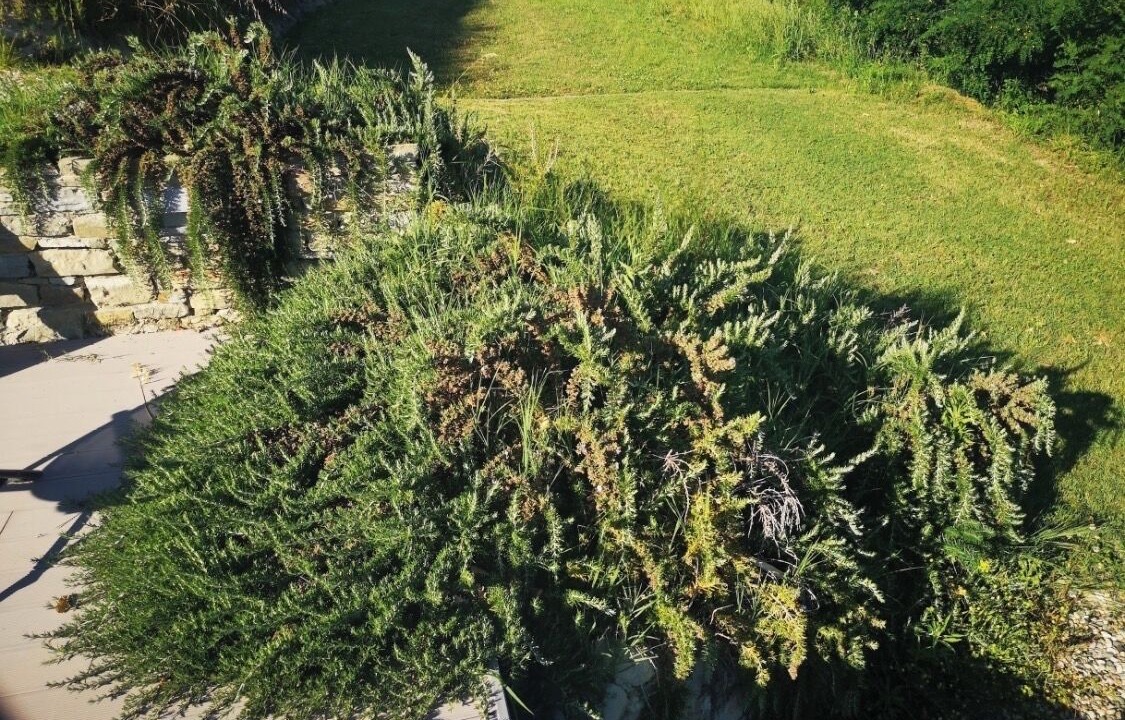 Photo of Outdoor in Montabone