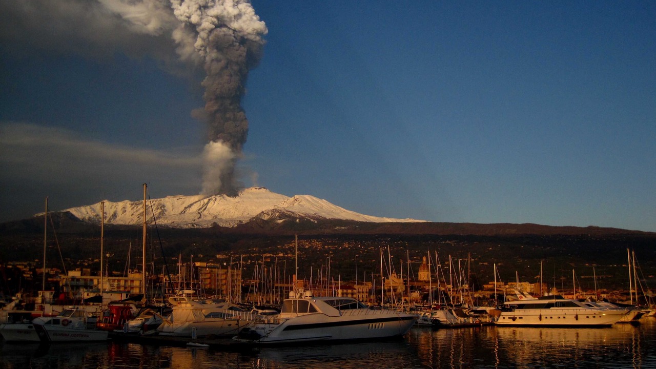 Photo of Others in Macchia